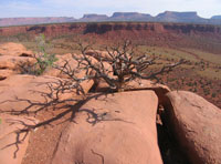 Upper Red Canyon (small)