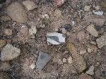 Pottery Sherds in Recapture Wash